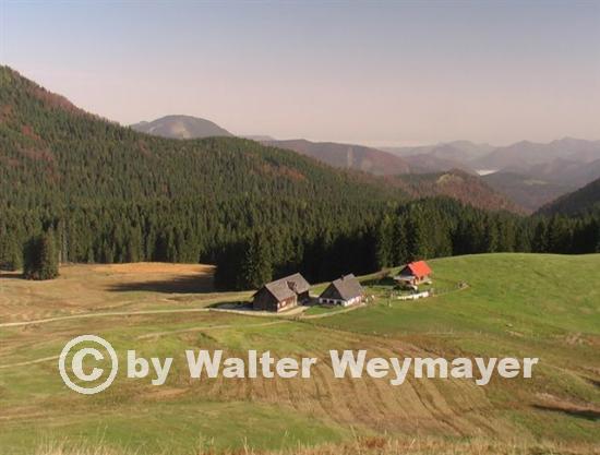 Ebenforst Alm 02