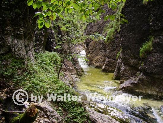 Haselschlucht 0542