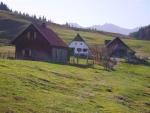 Ebenforst Alm